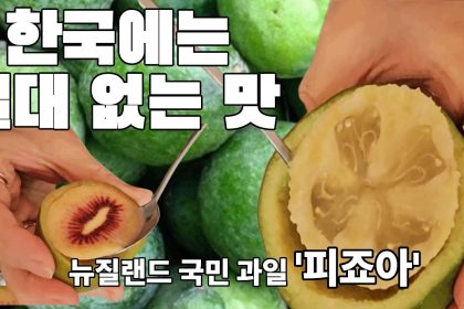 1774857017 maxresdefault infoshare - nz immigration news / 뉴질랜드 이민정보