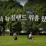 1774943413 maxresdefault infoshare - nz immigration news / 뉴질랜드 이민정보