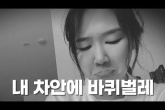1774944611 hqdefault infoshare - nz immigration news / 뉴질랜드 이민정보