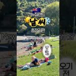 1775032241 maxresdefault infoshare - nz immigration news / 뉴질랜드 이민정보