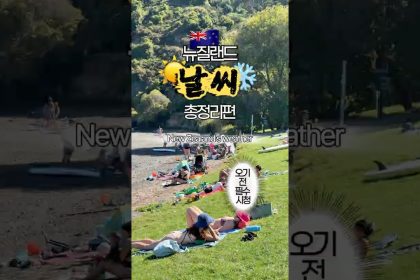 1775032241 maxresdefault infoshare - nz immigration news / 뉴질랜드 이민정보
