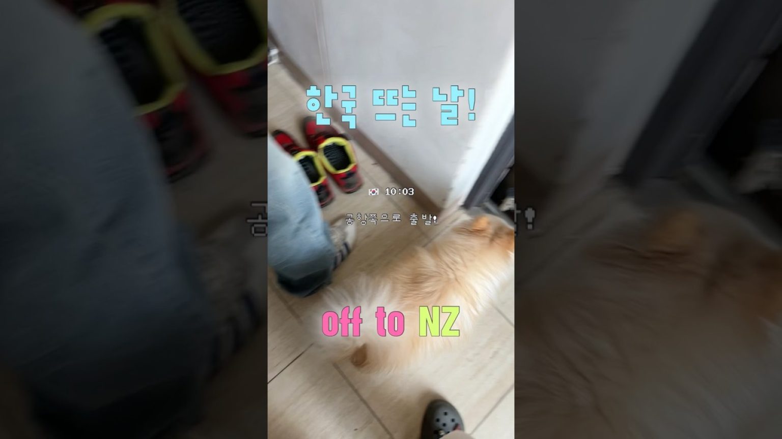 1775121024 maxresdefault infoshare - nz immigration news / 뉴질랜드 이민정보