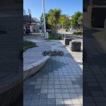 1775205028 maxresdefault infoshare - nz immigration news / 뉴질랜드 이민정보