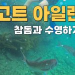 1775214615 maxresdefault infoshare - nz immigration news / 뉴질랜드 이민정보