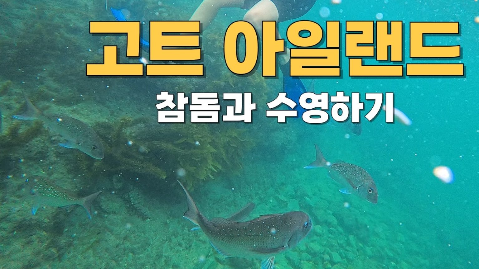 1775214615 maxresdefault infoshare - nz immigration news / 뉴질랜드 이민정보