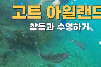 1775214615 maxresdefault infoshare - nz immigration news / 뉴질랜드 이민정보