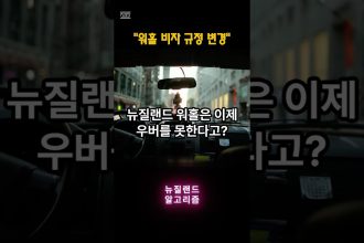 1775550047 maxresdefault infoshare - nz immigration news / 뉴질랜드 이민정보