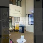 1775724011 maxresdefault infoshare - nz immigration news / 뉴질랜드 이민정보