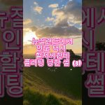 1775891410 maxresdefault infoshare - nz immigration news / 뉴질랜드 이민정보