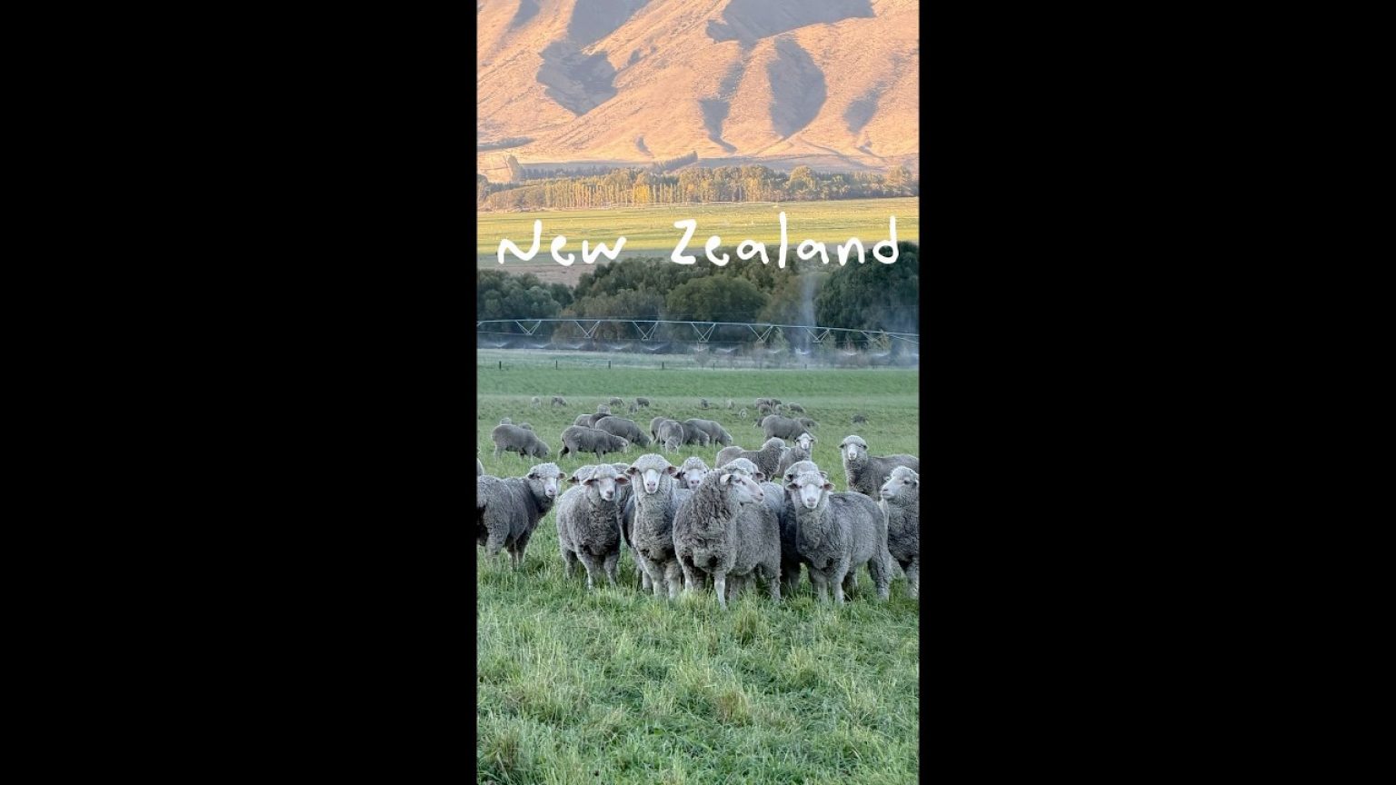 1776076806 maxresdefault infoshare - nz immigration news / 뉴질랜드 이민정보