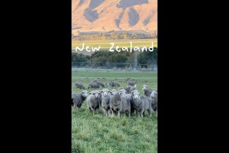 1776076806 maxresdefault infoshare - nz immigration news / 뉴질랜드 이민정보