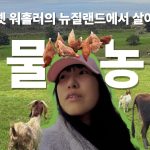 1776266416 maxresdefault infoshare - nz immigration news / 뉴질랜드 이민정보