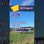 1776353409 maxresdefault infoshare - nz immigration news / 뉴질랜드 이민정보