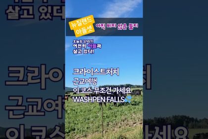 1776353409 maxresdefault infoshare - nz immigration news / 뉴질랜드 이민정보