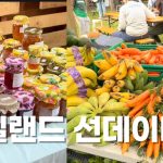 1776754815 maxresdefault infoshare - nz immigration news / 뉴질랜드 이민정보
