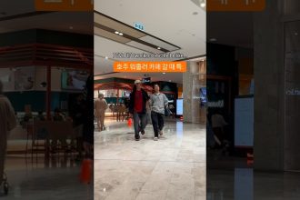 1777016408 maxresdefault infoshare - nz immigration news / 뉴질랜드 이민정보