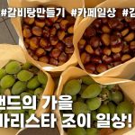 1777108807 maxresdefault infoshare - nz immigration news / 뉴질랜드 이민정보