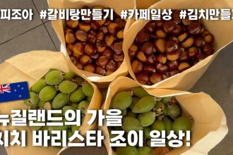 1777108807 maxresdefault infoshare - nz immigration news / 뉴질랜드 이민정보
