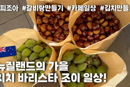 1777108807 maxresdefault infoshare - nz immigration news / 뉴질랜드 이민정보