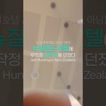 1777366208 maxresdefault infoshare - nz immigration news / 뉴질랜드 이민정보