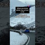 1777454414 maxresdefault infoshare - nz immigration news / 뉴질랜드 이민정보