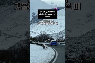 1777454414 maxresdefault infoshare - nz immigration news / 뉴질랜드 이민정보