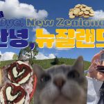 1778398213 maxresdefault infoshare - nz immigration news / 뉴질랜드 이민정보