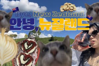 1778398213 maxresdefault infoshare - nz immigration news / 뉴질랜드 이민정보