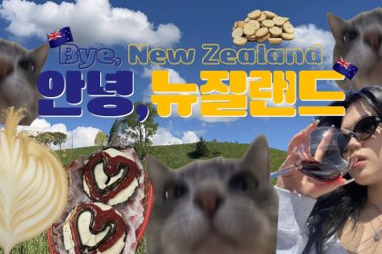 1778398213 maxresdefault infoshare - nz immigration news / 뉴질랜드 이민정보