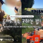 1778928611 maxresdefault infoshare - nz immigration news / 뉴질랜드 이민정보