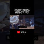 1779006011 maxresdefault infoshare - nz immigration news / 뉴질랜드 이민정보
