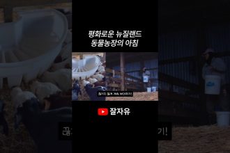 1779006011 maxresdefault infoshare - nz immigration news / 뉴질랜드 이민정보