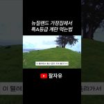 1779095408 maxresdefault infoshare - nz immigration news / 뉴질랜드 이민정보