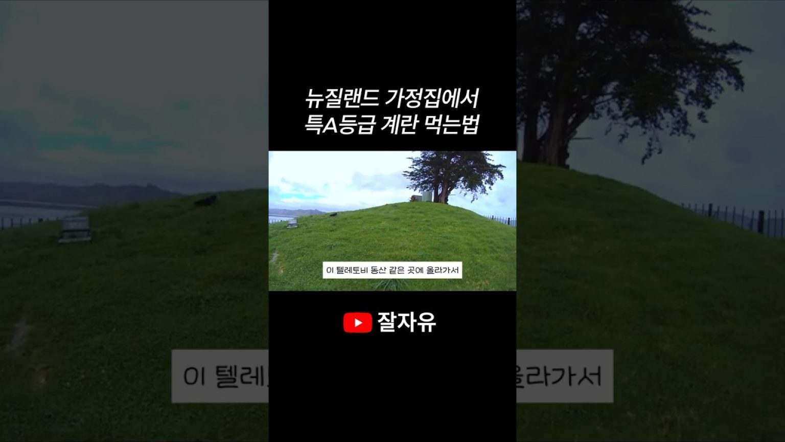 1779095408 maxresdefault infoshare - nz immigration news / 뉴질랜드 이민정보