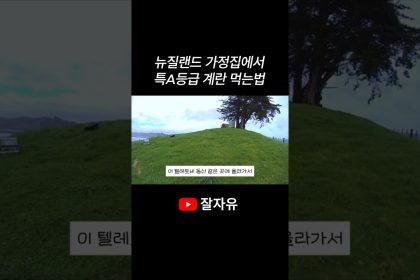 1779095408 maxresdefault infoshare - nz immigration news / 뉴질랜드 이민정보