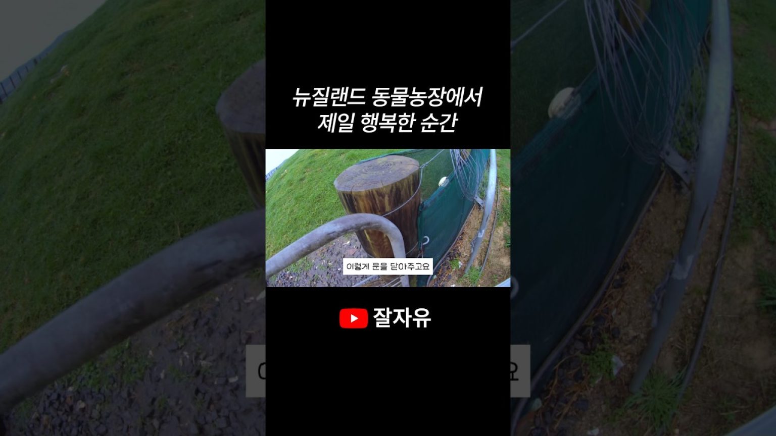 1779181215 maxresdefault infoshare - nz immigration news / 뉴질랜드 이민정보
