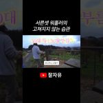 1779269414 maxresdefault infoshare - nz immigration news / 뉴질랜드 이민정보