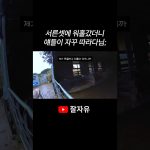 1779439810 maxresdefault infoshare - nz immigration news / 뉴질랜드 이민정보