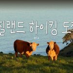 1779524408 maxresdefault infoshare - nz immigration news / 뉴질랜드 이민정보