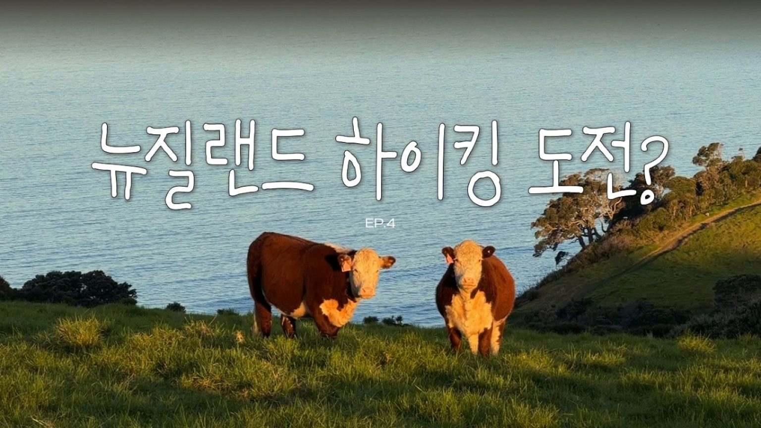 1779524408 maxresdefault infoshare - nz immigration news / 뉴질랜드 이민정보