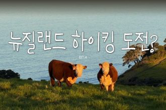 1779524408 maxresdefault infoshare - nz immigration news / 뉴질랜드 이민정보