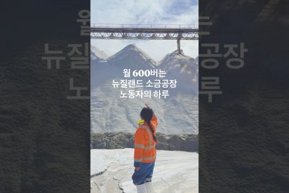 1779865212 maxresdefault infoshare - nz immigration news / 뉴질랜드 이민정보