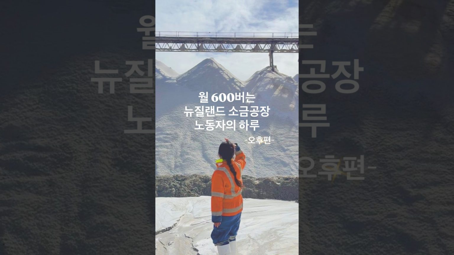 1779952212 maxresdefault infoshare - nz immigration news / 뉴질랜드 이민정보
