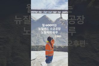 1779952212 maxresdefault infoshare - nz immigration news / 뉴질랜드 이민정보