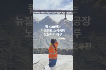 1779952212 maxresdefault infoshare - nz immigration news / 뉴질랜드 이민정보