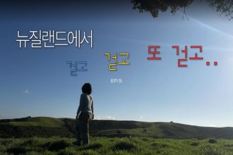 1781080808 maxresdefault infoshare - nz immigration news / 뉴질랜드 이민정보