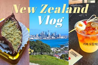 1781182211 maxresdefault infoshare - nz immigration news / 뉴질랜드 이민정보
