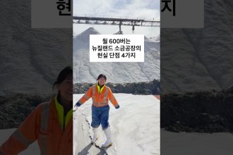 1781254809 maxresdefault infoshare - nz immigration news / 뉴질랜드 이민정보
