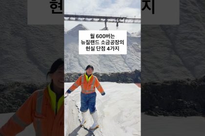 1781254809 maxresdefault infoshare - nz immigration news / 뉴질랜드 이민정보