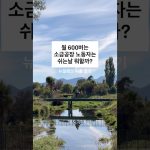 1781764811 maxresdefault infoshare - nz immigration news / 뉴질랜드 이민정보